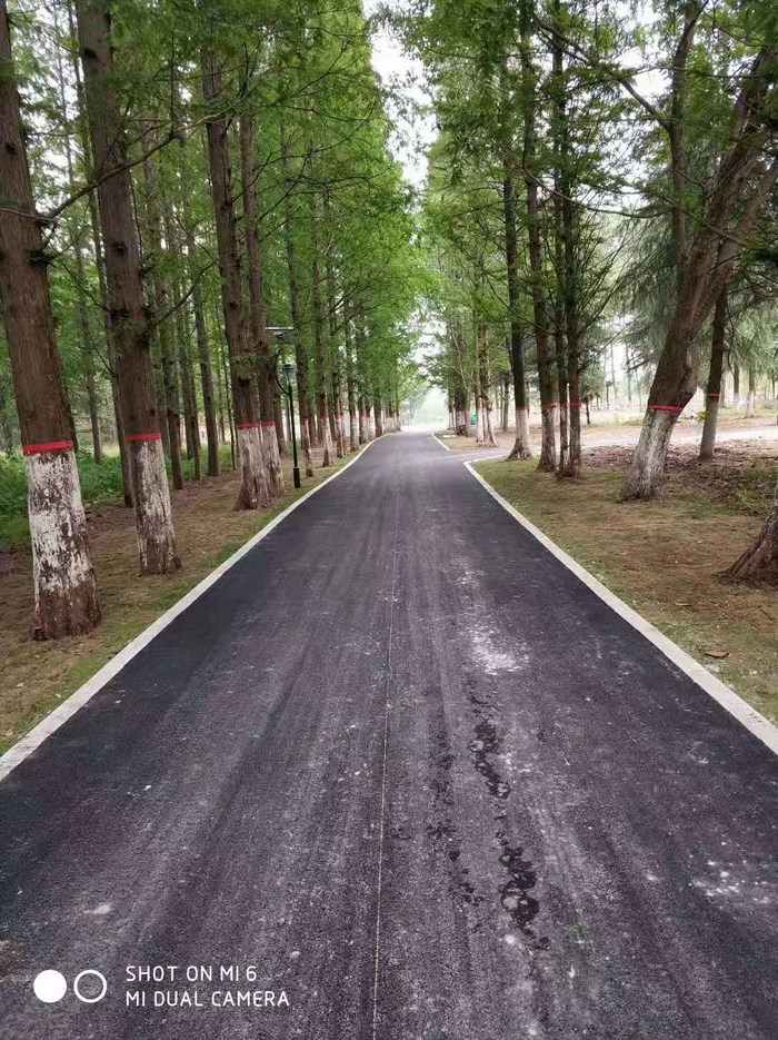 林間小道標線